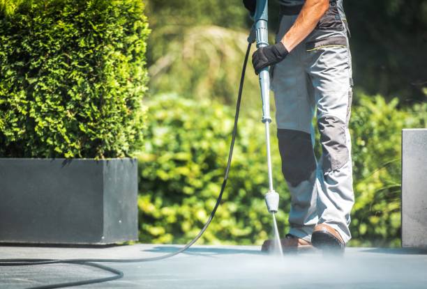 Best Dumpster Area Cleaning  in Petoskey, MI
