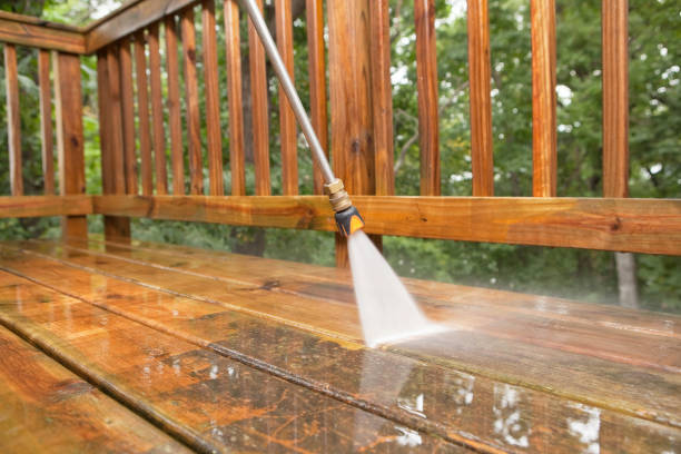 Animal Enclosure Cleaning in Petoskey, MI